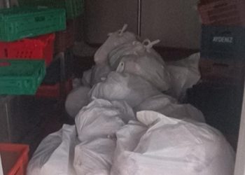 Kasap deposundan yaklaşık 400 kilogram bozuk et çıktı