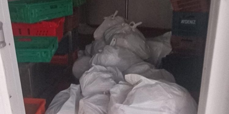 Kasap deposundan yaklaşık 400 kilogram bozuk et çıktı