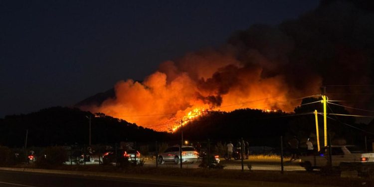Fethiye’de ormanlık alanda çıkan yangına müdahale ediliyor