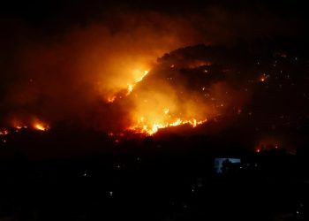 WWF: İtalya’da bu yaz çıkan orman yangınlarında 70 bin hektar alan kül oldu