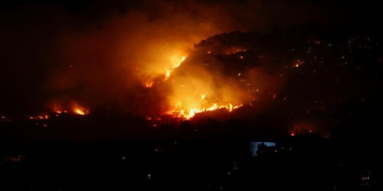 WWF: İtalya’da bu yaz çıkan orman yangınlarında 70 bin hektar alan kül oldu