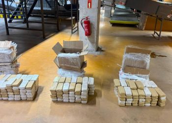 Ankara’da kargo paketlerinde 109 kilogram uyuşturucu ele geçirildi