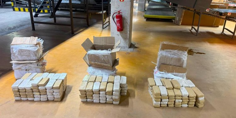 Ankara’da kargo paketlerinde 109 kilogram uyuşturucu ele geçirildi