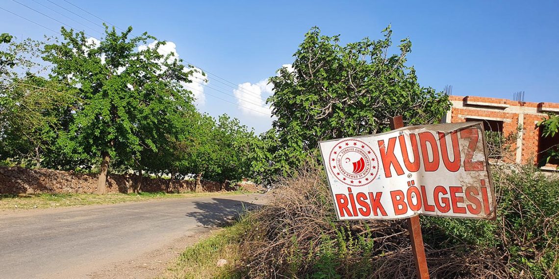 Ardahan’da kuduz alarmı: Bir bölge karantinaya alındı