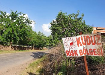 Ardahan’da kuduz alarmı: Bir bölge karantinaya alındı