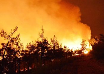 Avrupa’da bu yıl orman yangınları 600 bin hektardan fazla alanı etkiledi