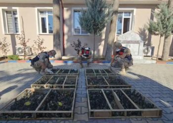 Traktör römorkundan binlerce saka kuşu çıktı, sürücüye 19,8 milyon ceza