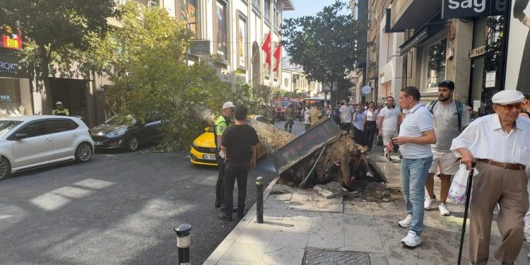 Şişli’de ağaç devrildi: Yol trafiğe kapandı
