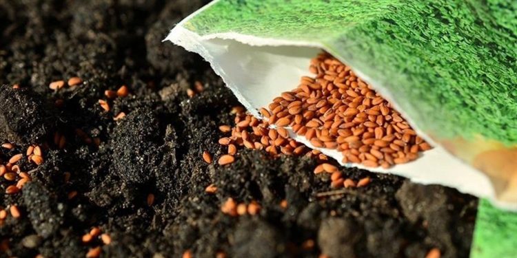 Dünyanın doğal tohum bankaları tür çeşitliliğini kaybediyor