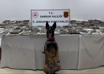 Samsun’da bir tırda 132 kilogram uyuşturucu ele geçirildi
