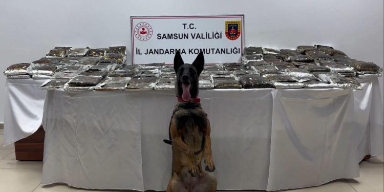 Samsun’da bir tırda 132 kilogram uyuşturucu ele geçirildi