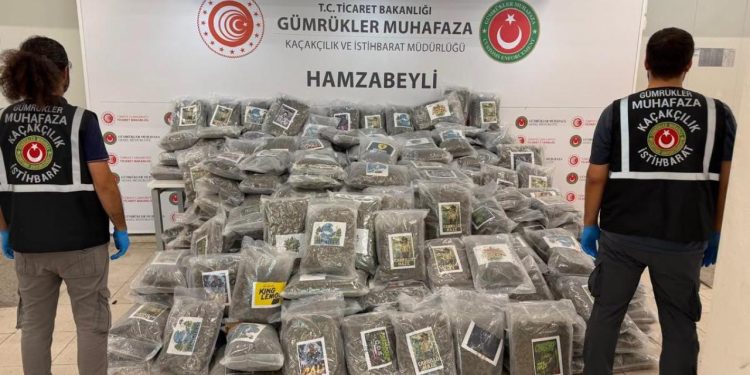 Hamzabeyli Sınır Kapısı’nda 287 kilo esrar ele geçirildi