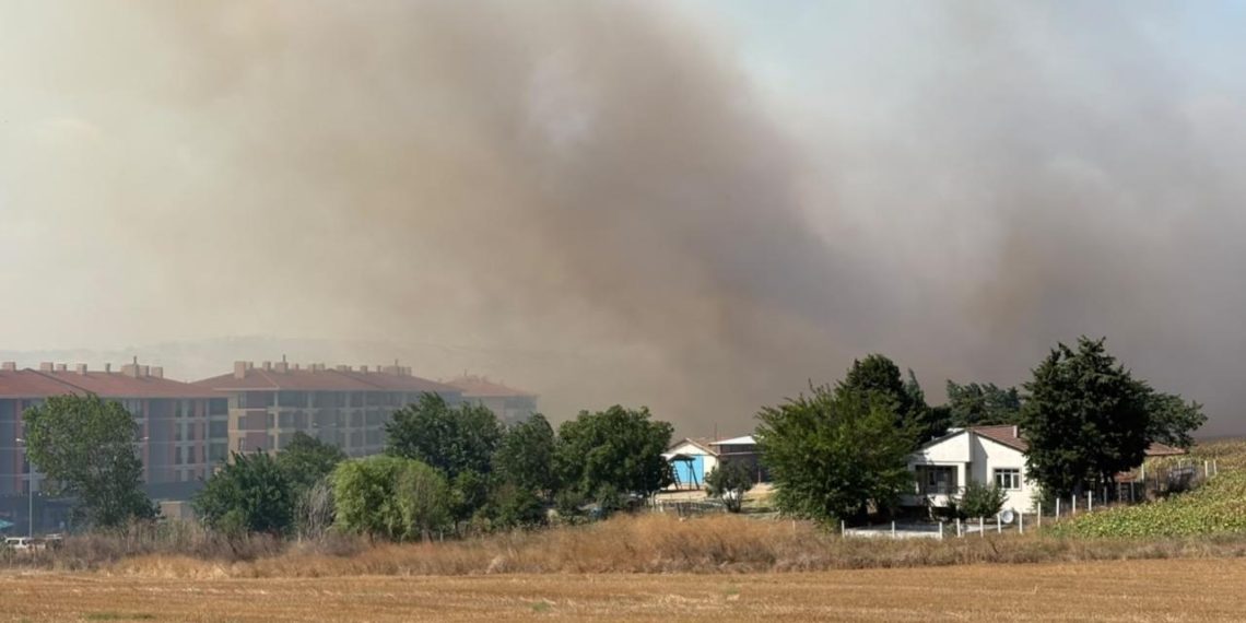 Silivri’de tarlada başlayan yangın yayıldı