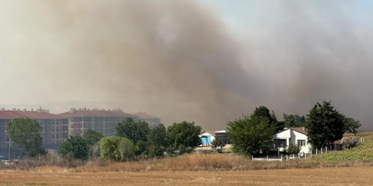 Silivri’de tarlada başlayan yangın yayıldı