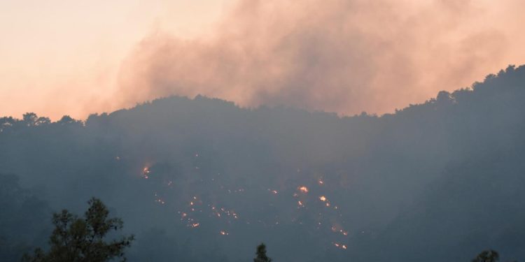 Antalya’daki orman yangını kontrol altında