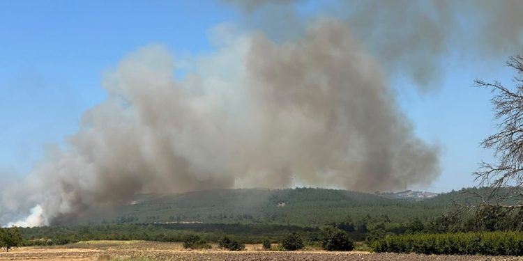 Bursa’da orman dışı alanda yangın