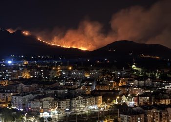 Ankara’da ağaçlık alanda çıkan yangına müdahale ediliyor