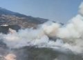 Balıkesir Sındırgı’da ormanlık alanda yangın