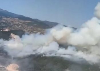 Balıkesir Sındırgı’da ormanlık alanda yangın