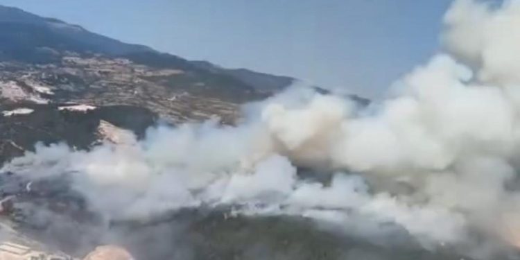 Balıkesir Sındırgı’da ormanlık alanda yangın