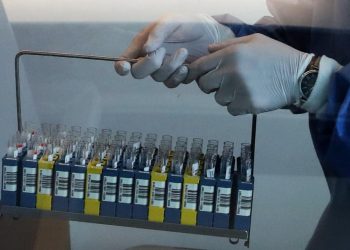 Belçika’da Batı Nil virüsü vakası 10’a yükseldi