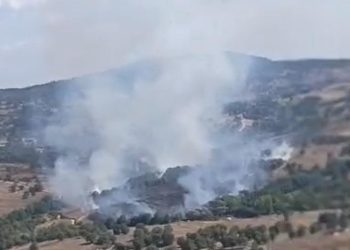 Bursa’da çıkan orman yangını kontrol altına alındı
