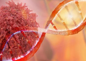 Claude, DNA’yı değiştiren yeni enzim sisteminin keşfine katkı sağladı