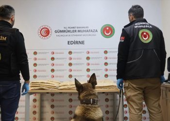 Kapıkule’de 50 kilogram uyuşturucu ele geçirildi