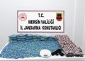 Mersin’de 64 bin 175 uyuşturucu hap ele geçirildi