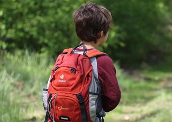 Avrupa’da eğitim krizi: PISA sonuçları tarihin en düşük seviyesinde