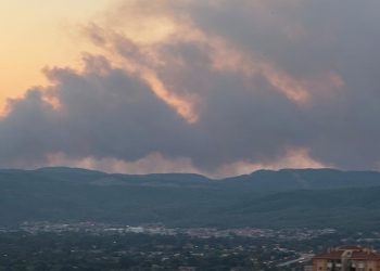 Muğla’da orman yangını: Havadan ve karadan müdahale sürüyor