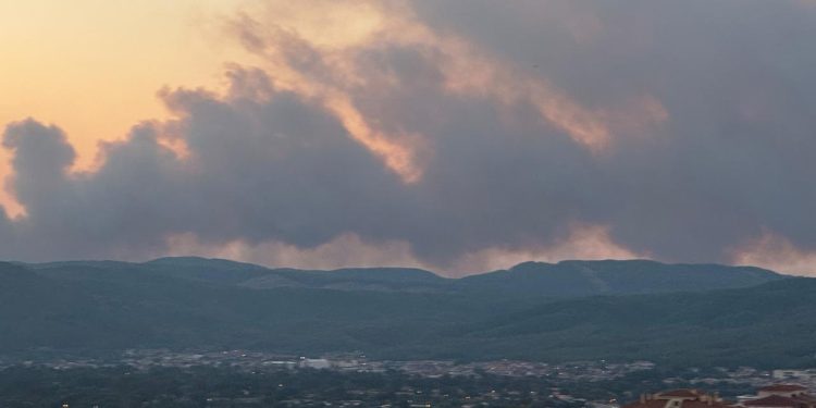 Muğla’da orman yangını: Havadan ve karadan müdahale sürüyor