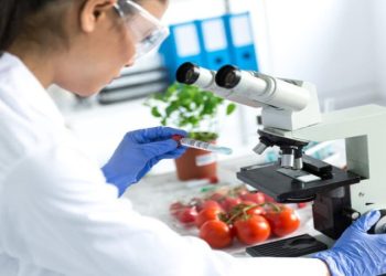 Haftalık gıda denetimleri: İthal ürünlerden elmada limit üstü bitki koruma ürünü