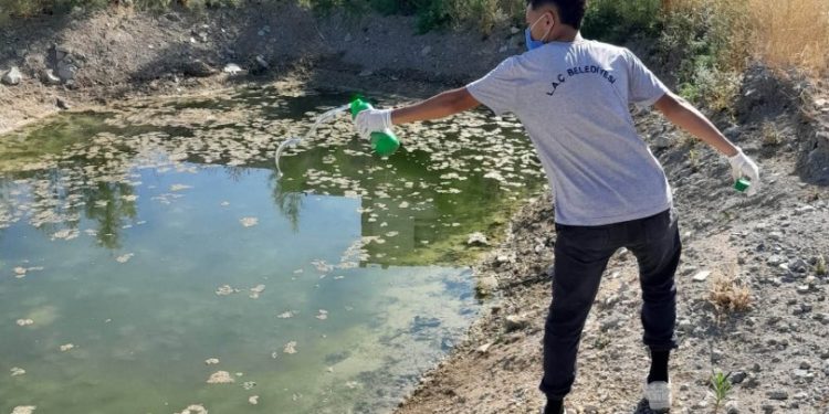 LAÇ Belediyesi’nin Batı Nil virüsüne karşı saha çalışmaları sürüyor