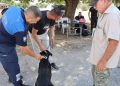 İskele ve köylerde köpekler kayıt altına alınıyor
