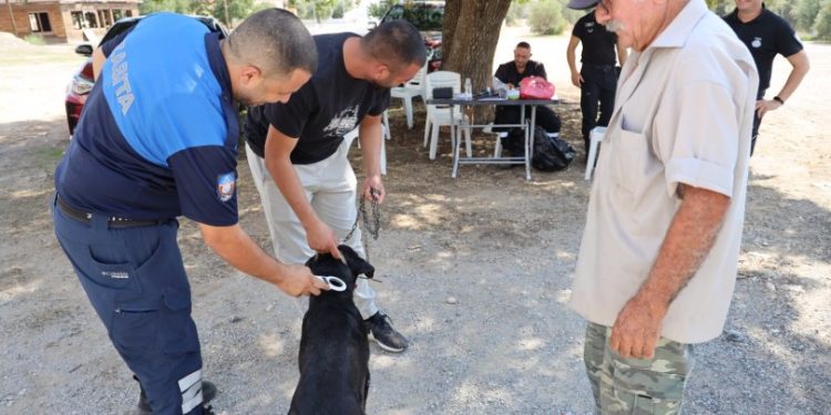İskele ve köylerde köpekler kayıt altına alınıyor
