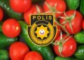 Yüklü miktarda kaçak domates ve salatalık ele geçirildi: 1 tutuklu
