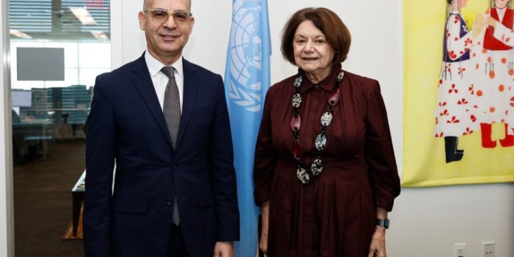 Dânâ’dan New York’ta yoğun diplomatik temaslar
