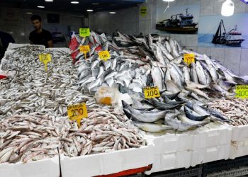 İstanbul’da balık tezgahlarına bolluk geldi
