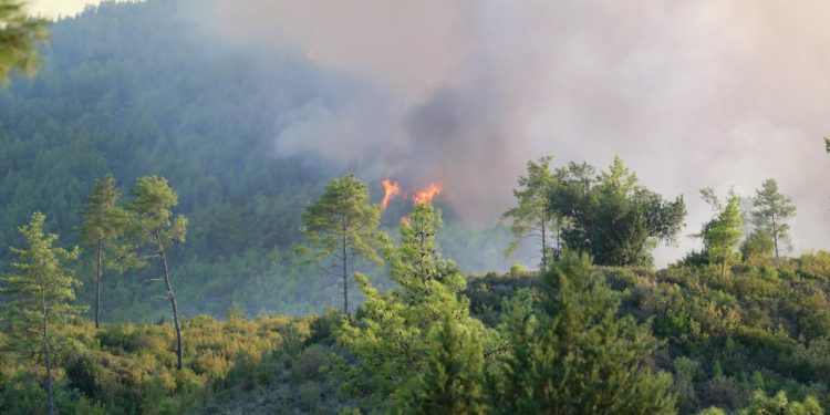 Antalya Serik’teki yangın büyük ölçüde kontrol altında