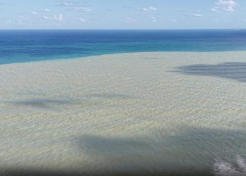 Derelerin taşıdığı çamurlu su Sinop’ta denizin rengini değiştirdi