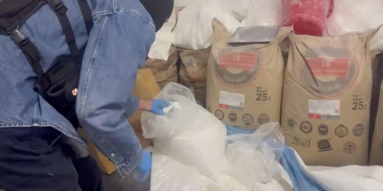 İstanbul’da zehir tacirlerine operasyon: 297 kilogram uyuşturucu ele geçirildi