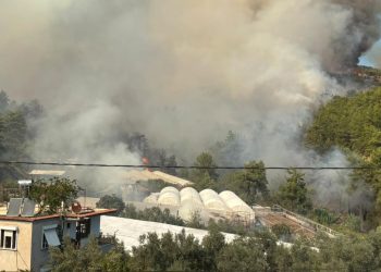 Antalya’da orman yangını