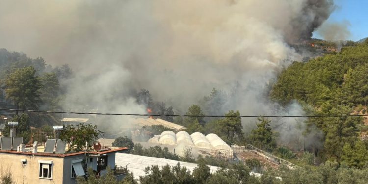 Antalya’da orman yangını