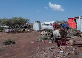 Yemen’de çatışmaların şiddetlenmesi nedeniyle 122 binden fazla kişi yerinden edildi