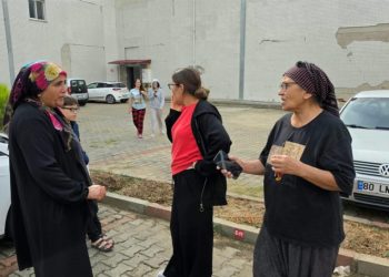 Adana ve Osmaniye art arda sallandı