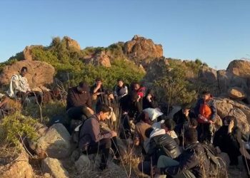 Muğla’da 34 düzensiz göçmen yakalandı