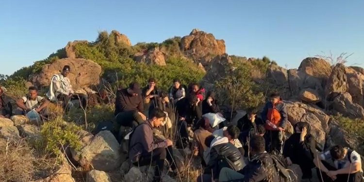 Muğla’da 34 düzensiz göçmen yakalandı