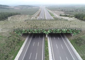 Kara ve demir yollarında 21 ekolojik köprü yapıldı