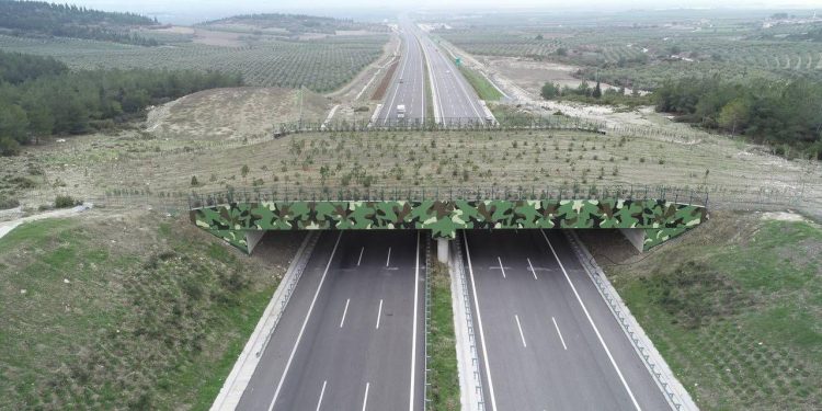 Kara ve demir yollarında 21 ekolojik köprü yapıldı